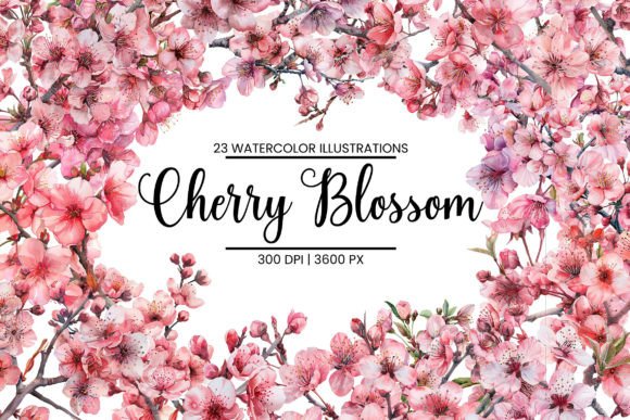 Download Watercolor Cherry Blossom Illustrations - Illustrations Collection