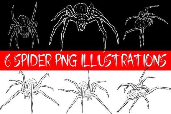 Download 6 Spider PNG Illustrations Creep Clipart - Illustrations Collection