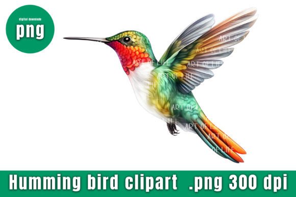 Download Illustrations Hummingbird - Illustrations Collection